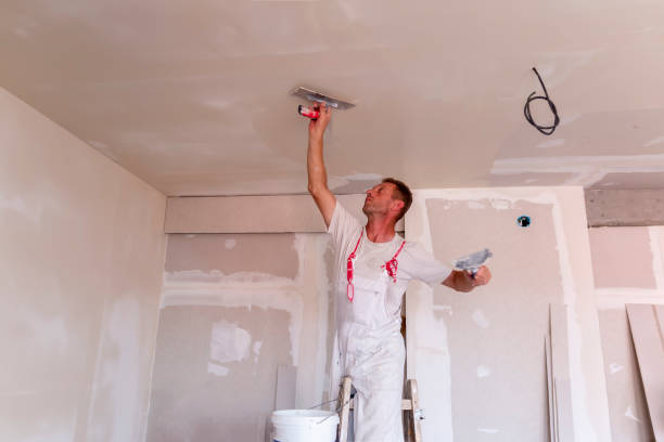 Best Water-Damaged Drywall Repair  in Wurtland, KY